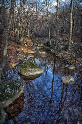 Прикрепленное изображение: IMG_9765 копия.jpg